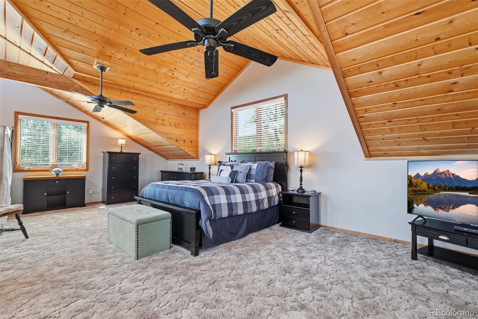 MLS Image #23 for 28  signalman lane,lake george, Colorado