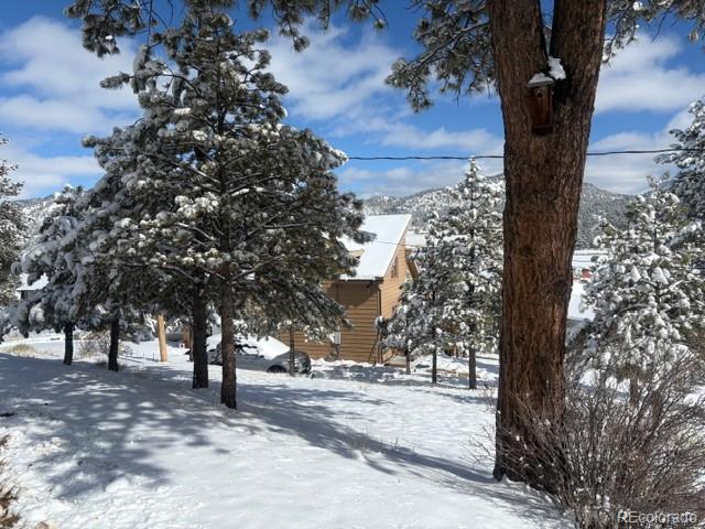 MLS Image #39 for 28  signalman lane,lake george, Colorado