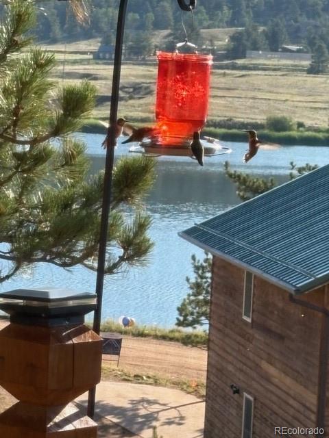 MLS Image #43 for 28  signalman lane,lake george, Colorado