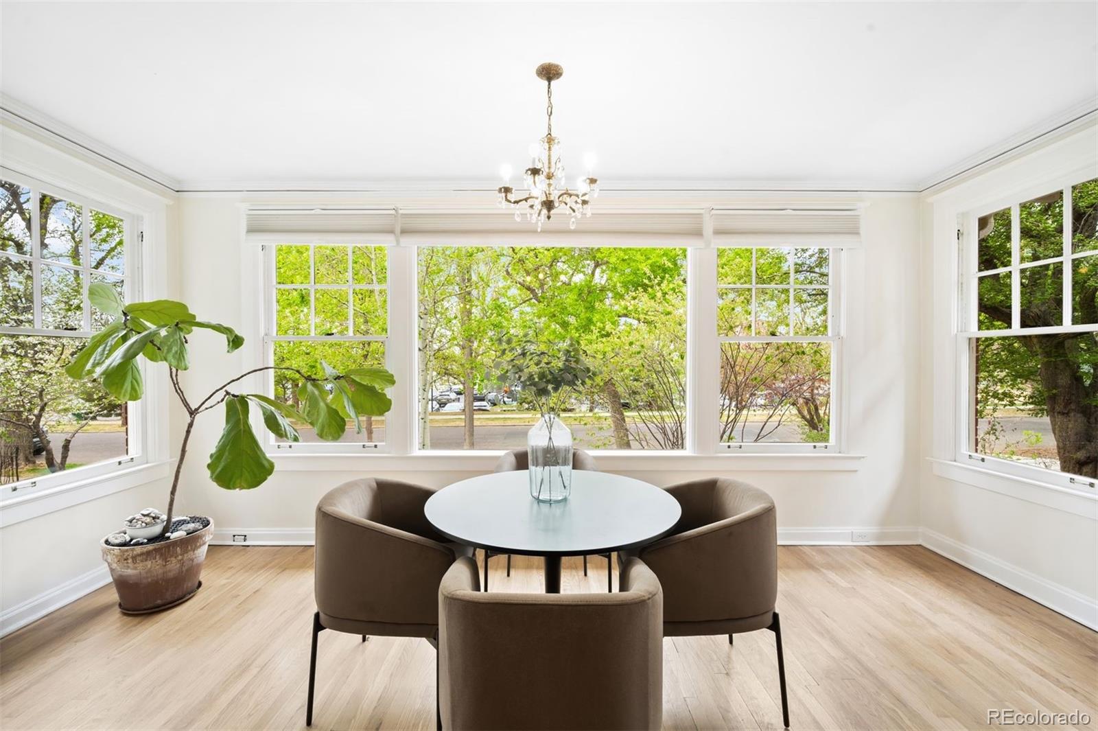 MLS Image #7 for 1368  ash street,denver, Colorado