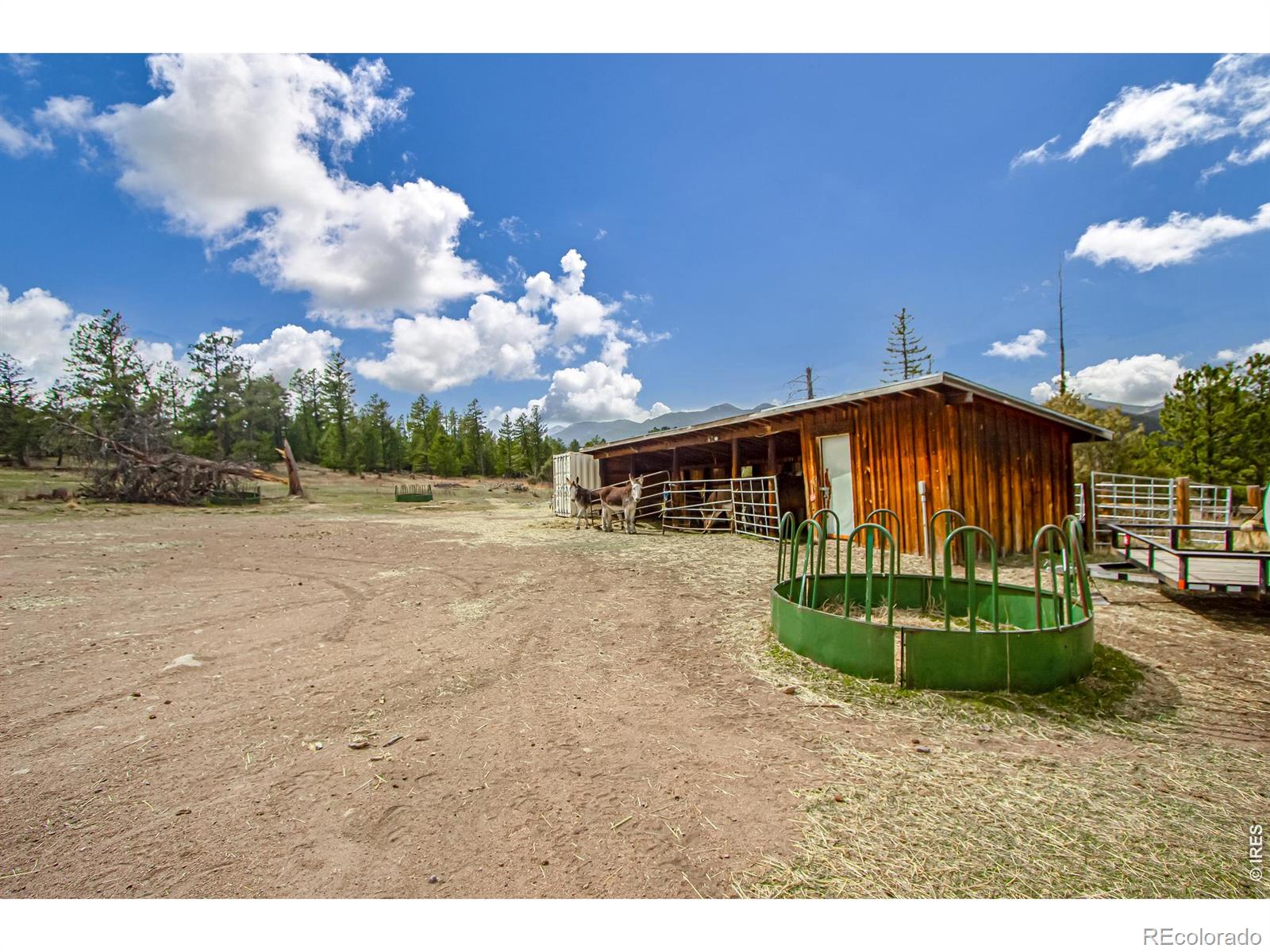 MLS Image #44 for 117  aspen drive,lyons, Colorado