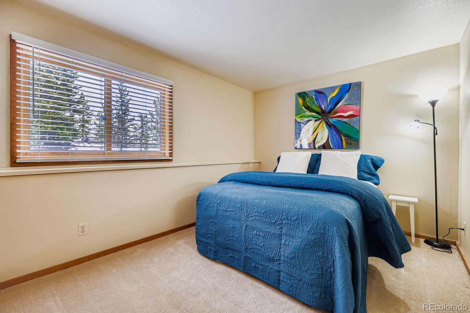 MLS Image #14 for 091300  ryan gulch road,silverthorne, Colorado