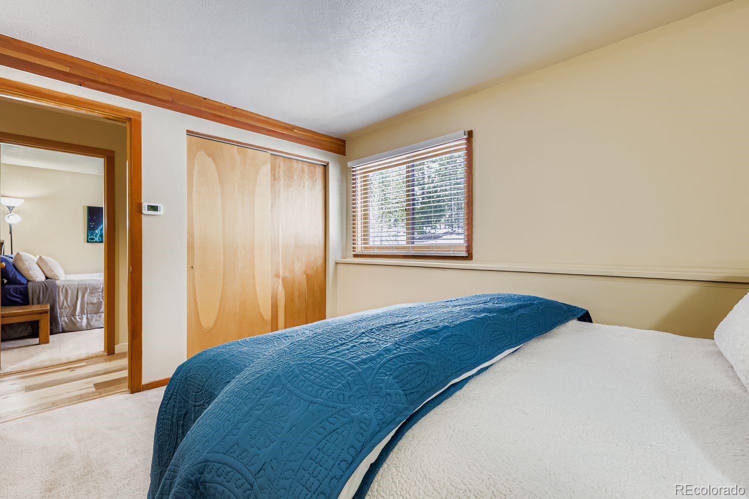 MLS Image #16 for 091300  ryan gulch road,silverthorne, Colorado