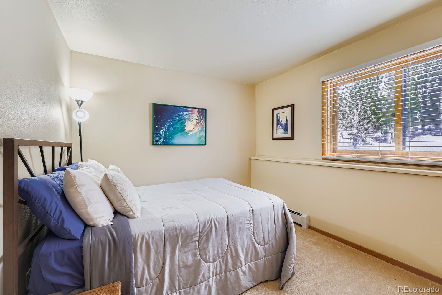 MLS Image #20 for 091300  ryan gulch road,silverthorne, Colorado