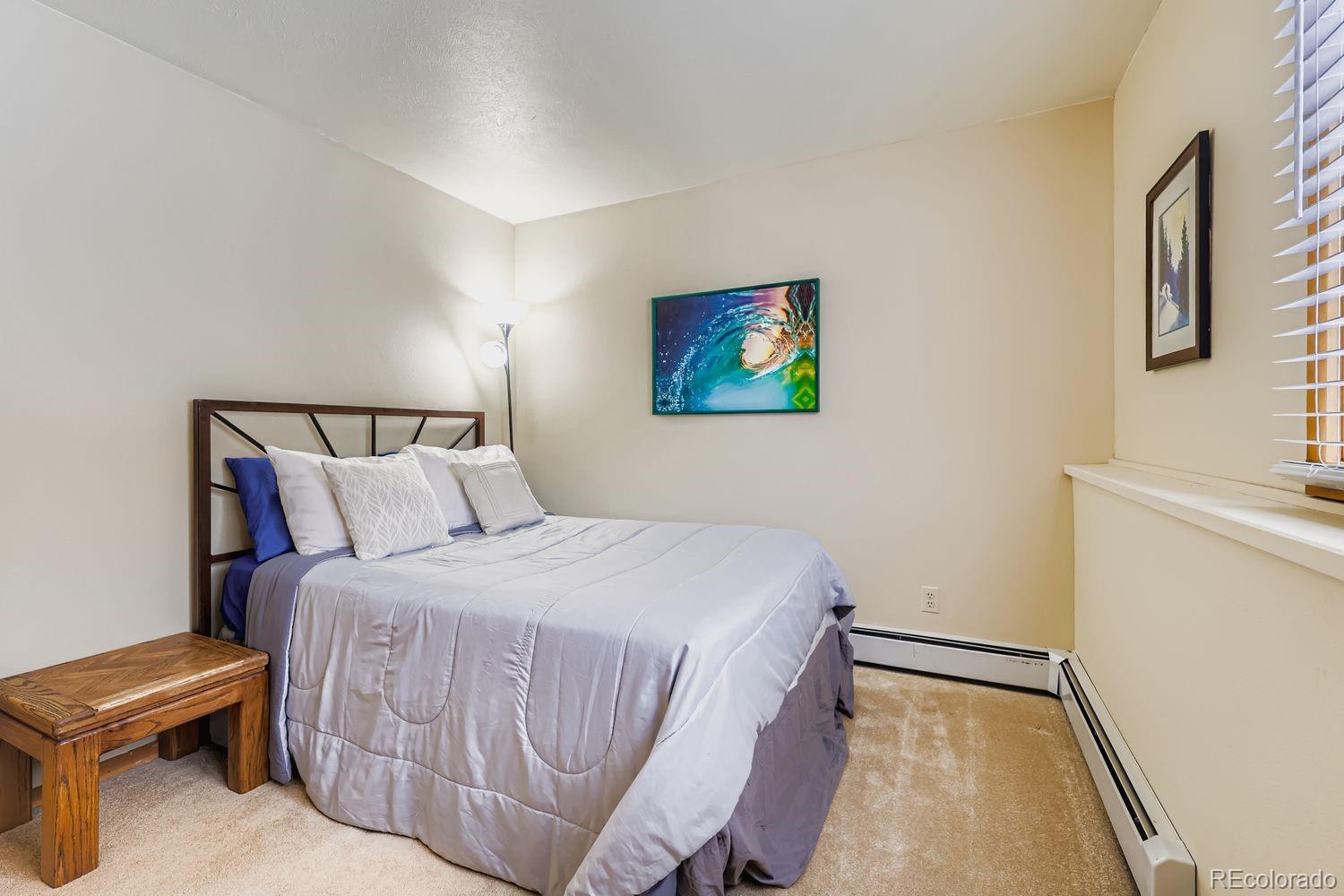 MLS Image #21 for 091300  ryan gulch road,silverthorne, Colorado