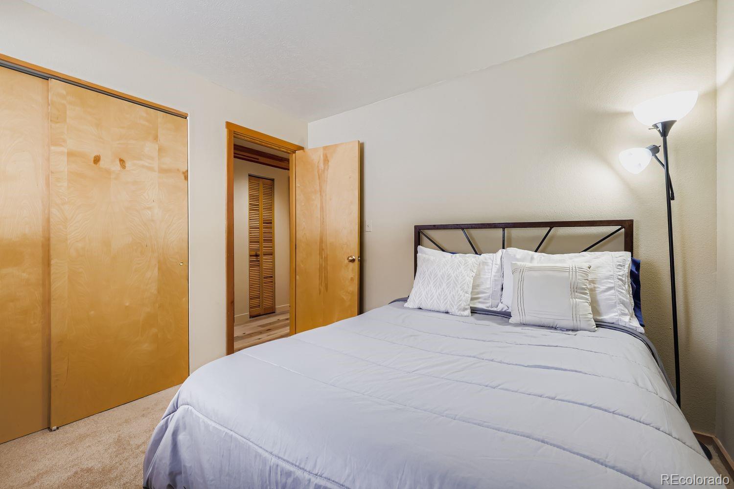 MLS Image #22 for 091300  ryan gulch road,silverthorne, Colorado
