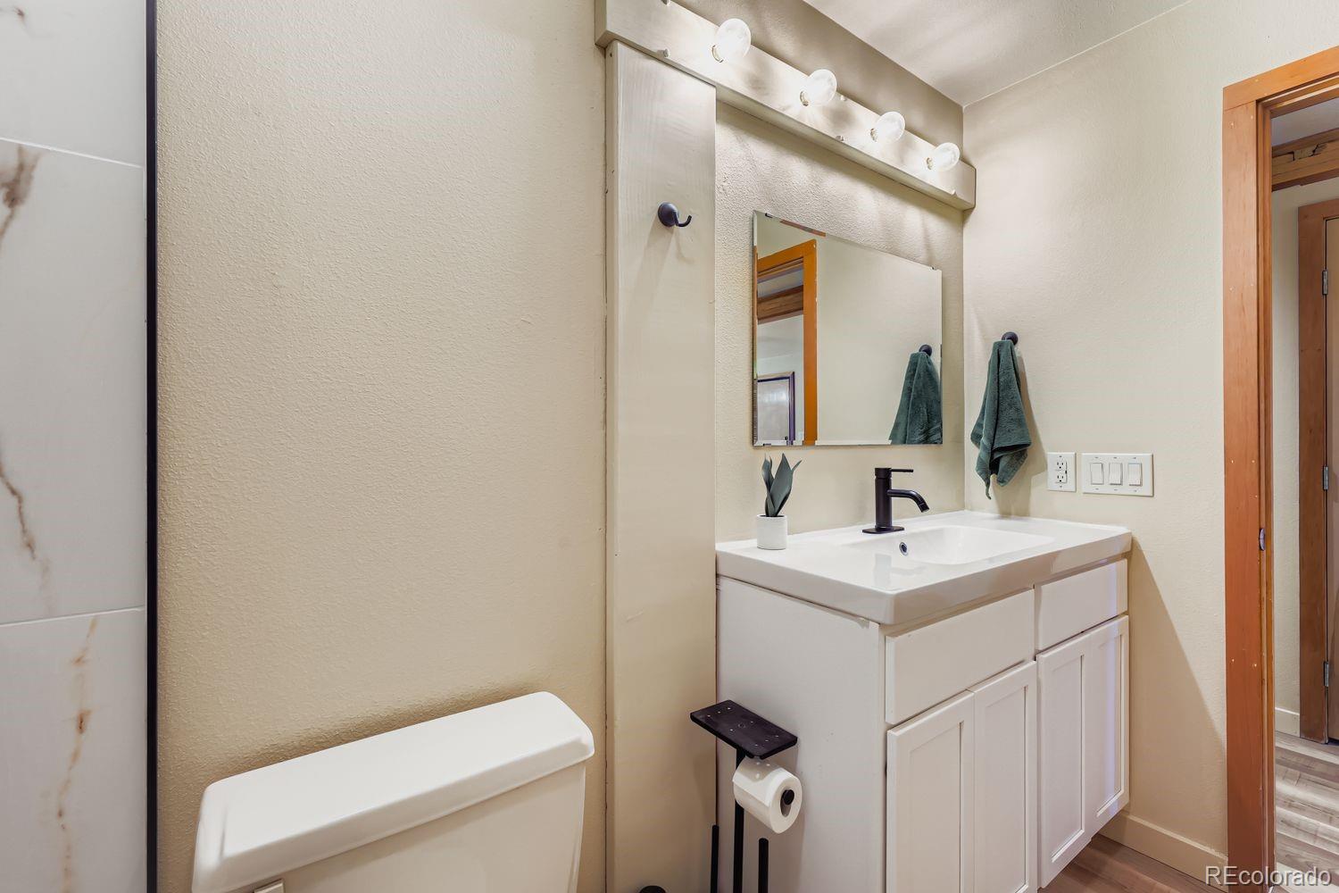 MLS Image #24 for 091300  ryan gulch road,silverthorne, Colorado