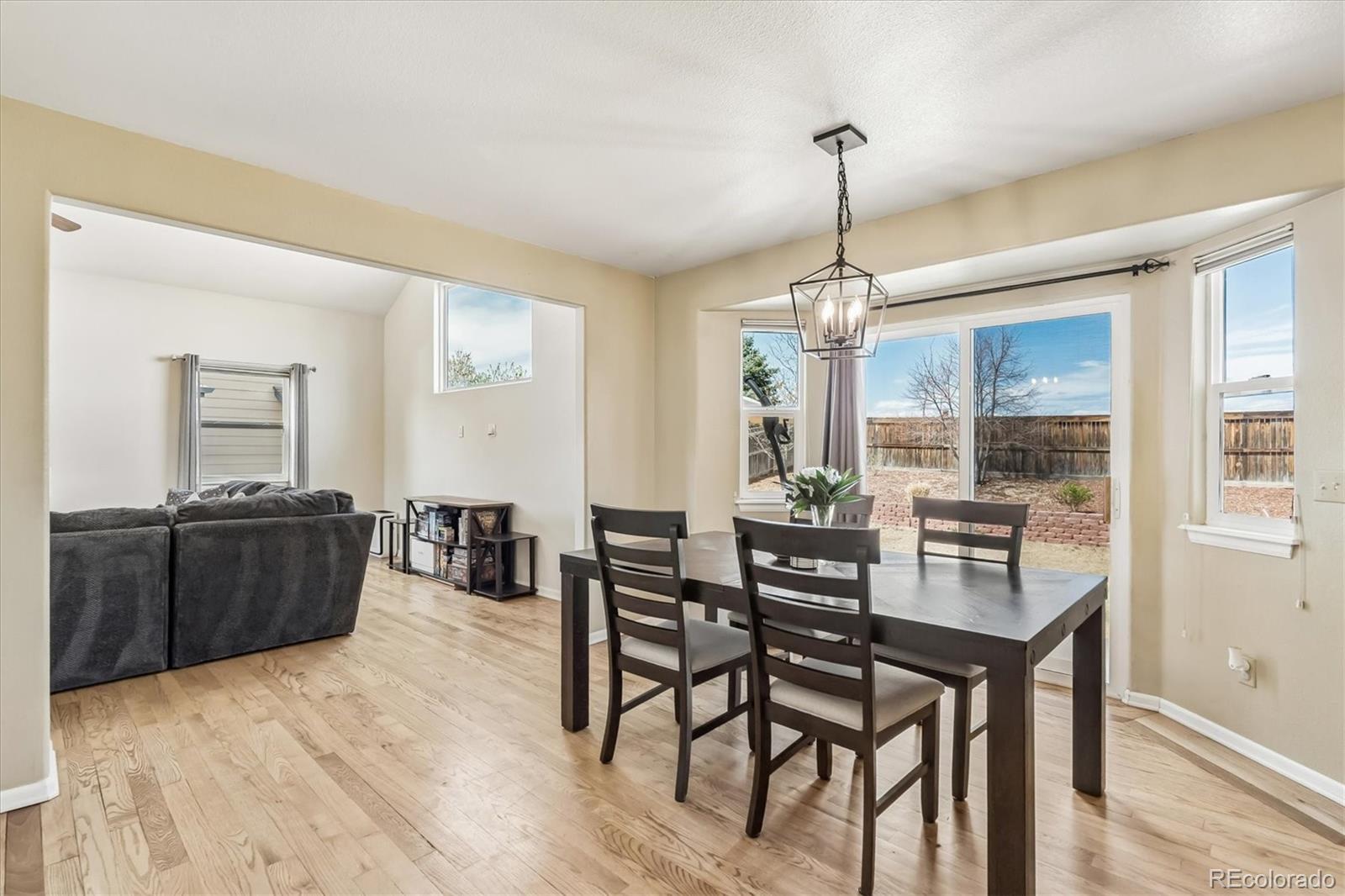 MLS Image #12 for 941  sundown drive,castle rock, Colorado