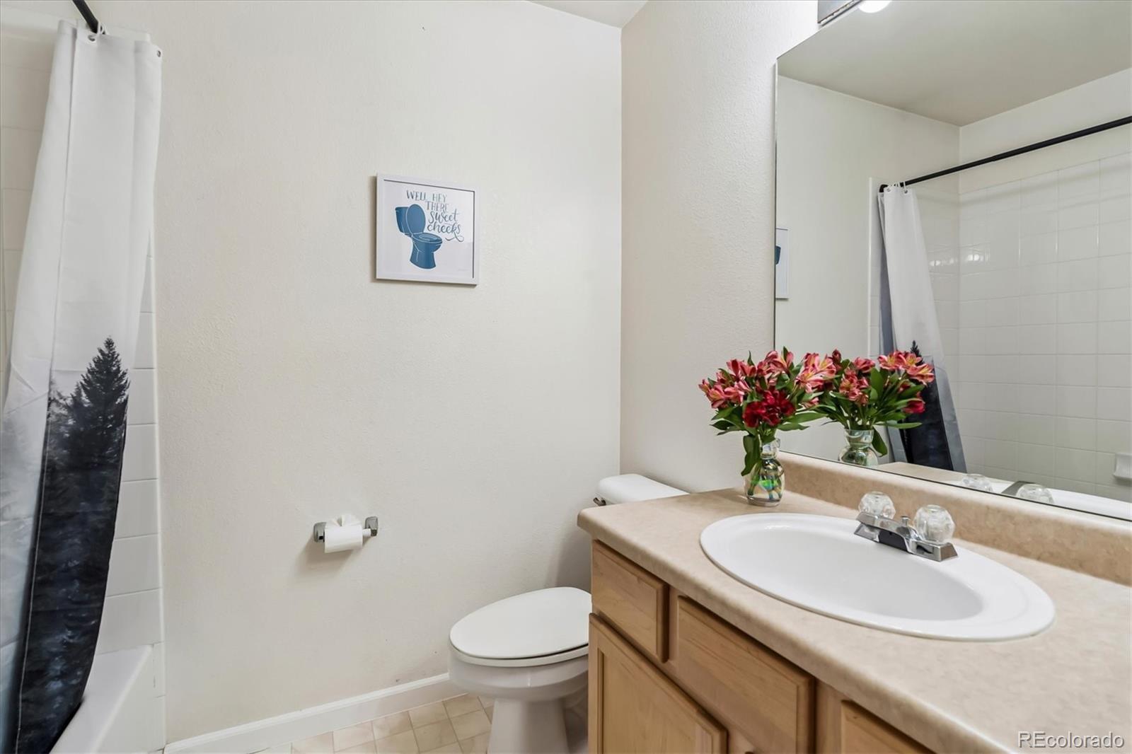 MLS Image #23 for 941  sundown drive,castle rock, Colorado