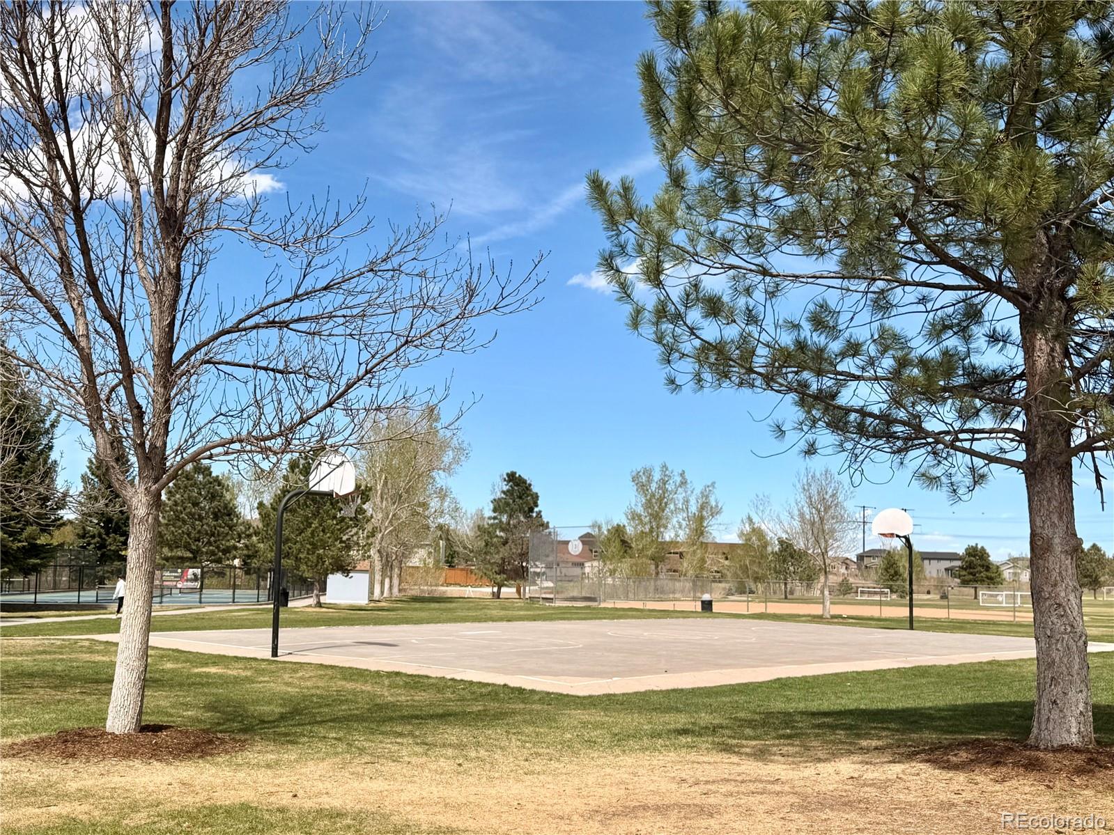 MLS Image #34 for 941  sundown drive,castle rock, Colorado