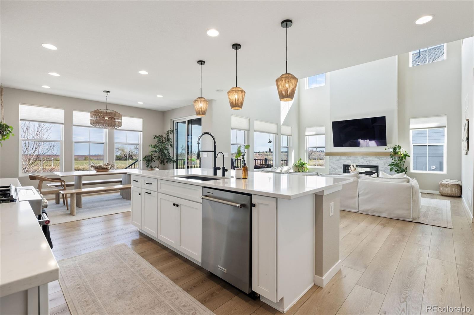 MLS Image #14 for 8827  moonshimmer trail,littleton, Colorado
