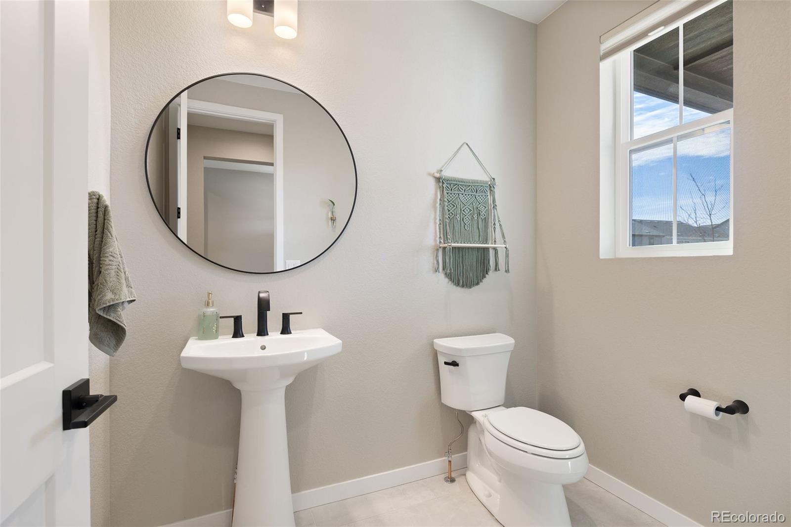 MLS Image #18 for 8827  moonshimmer trail,littleton, Colorado