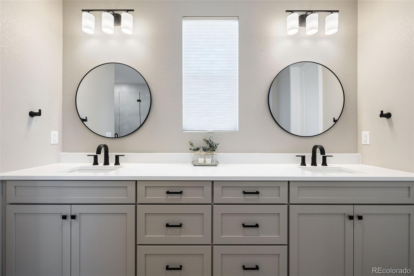 MLS Image #28 for 8827  moonshimmer trail,littleton, Colorado