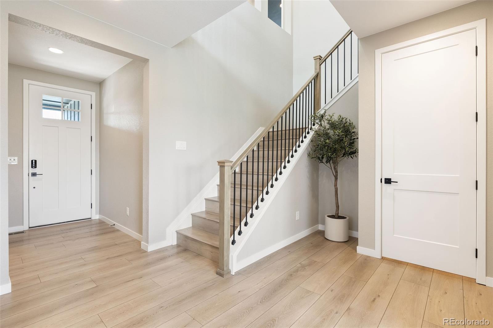 MLS Image #3 for 8827  moonshimmer trail,littleton, Colorado