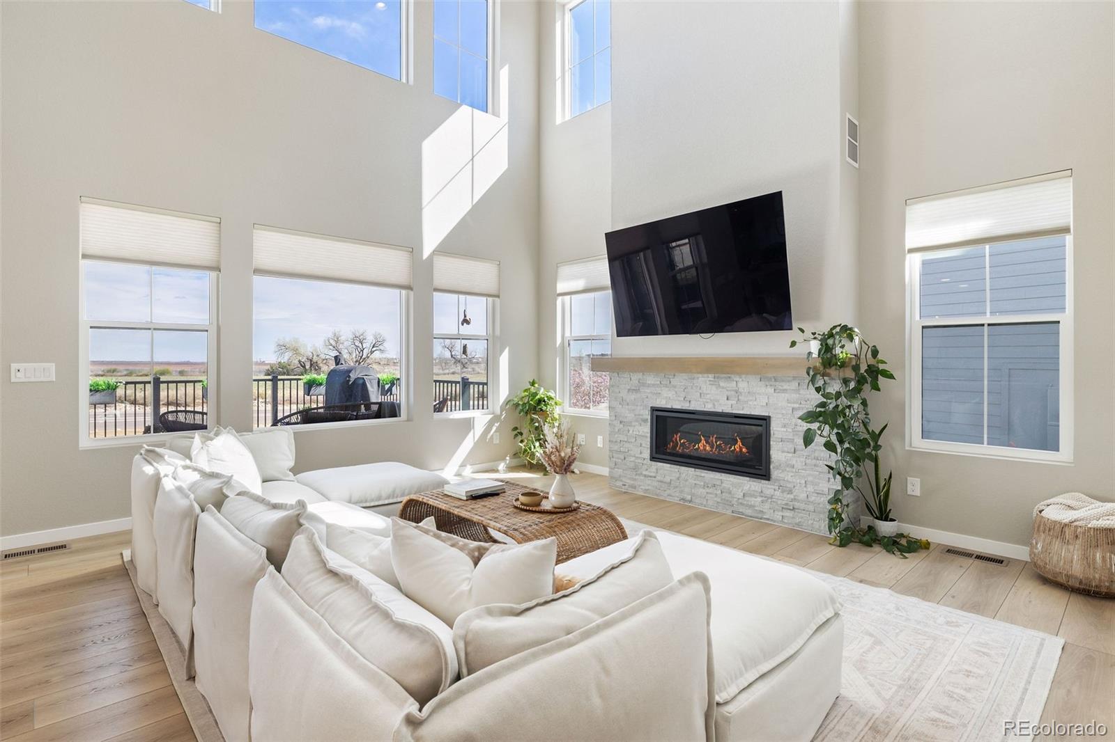 MLS Image #6 for 8827  moonshimmer trail,littleton, Colorado