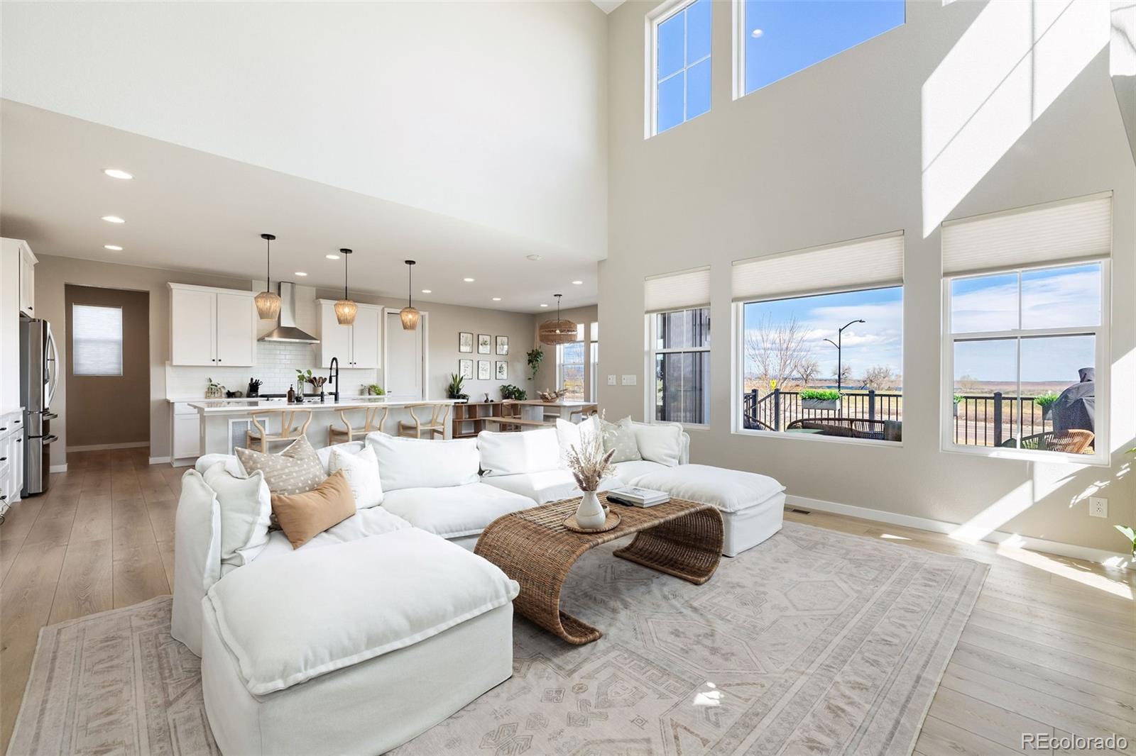 MLS Image #7 for 8827  moonshimmer trail,littleton, Colorado