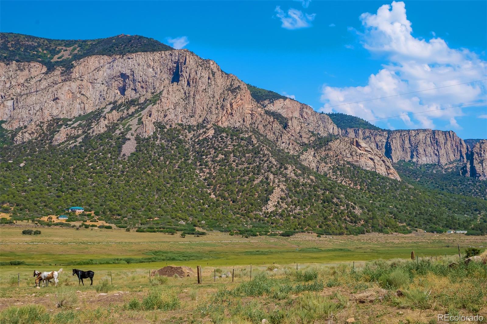 MLS Image #1 for 26101  hwy 141 ,whitewater, Colorado