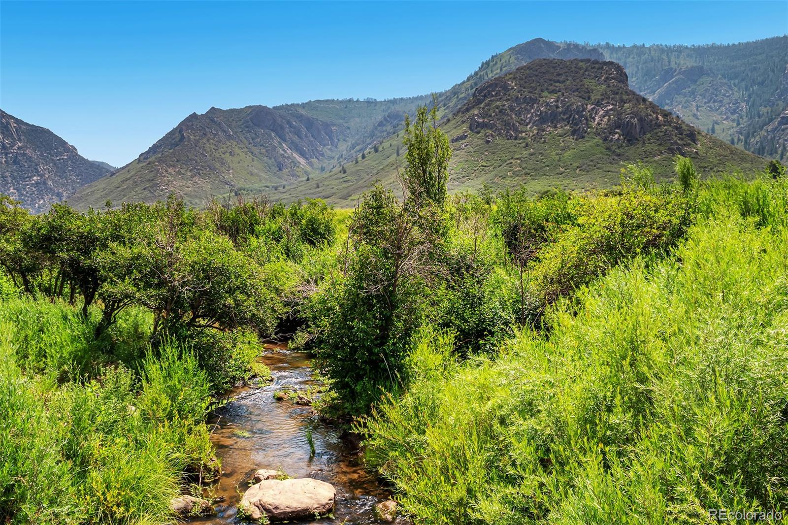 MLS Image #23 for 26101  hwy 141 ,whitewater, Colorado
