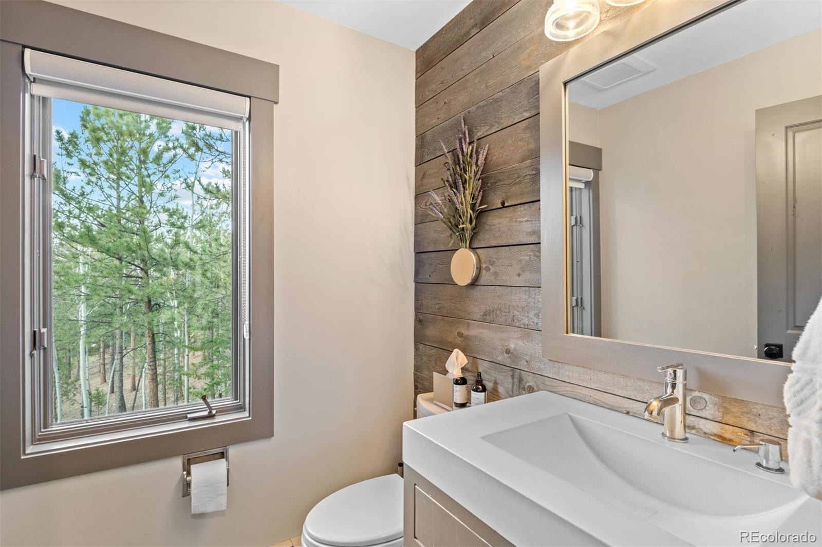 MLS Image #24 for 632  cerro court,evergreen, Colorado