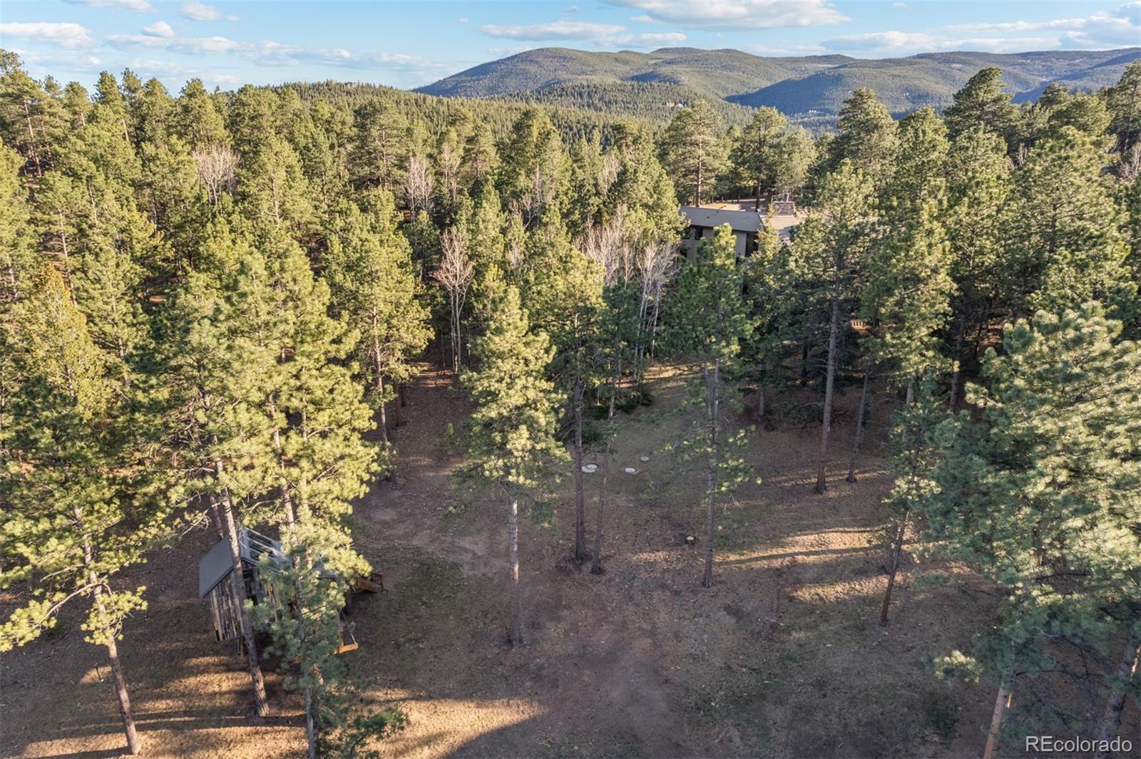 MLS Image #46 for 632  cerro court,evergreen, Colorado