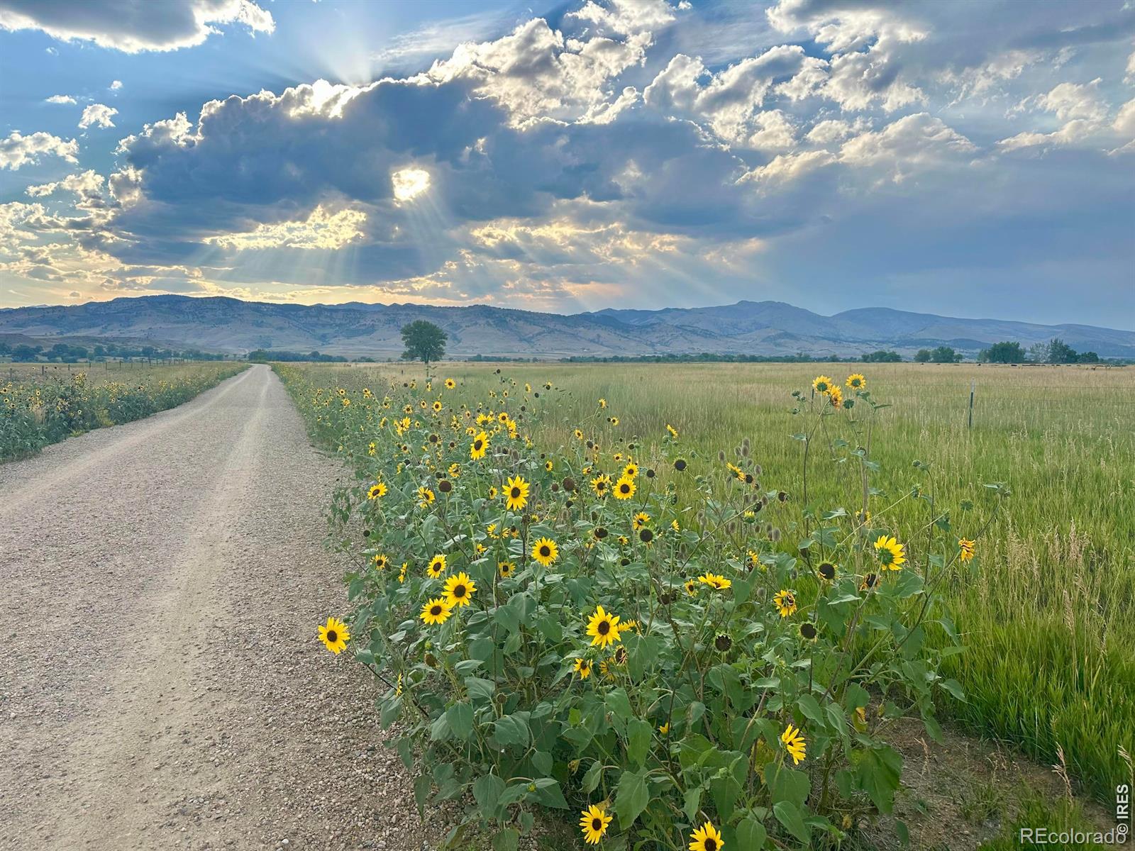 MLS Image #44 for 4937  valkyrie drive,boulder, Colorado
