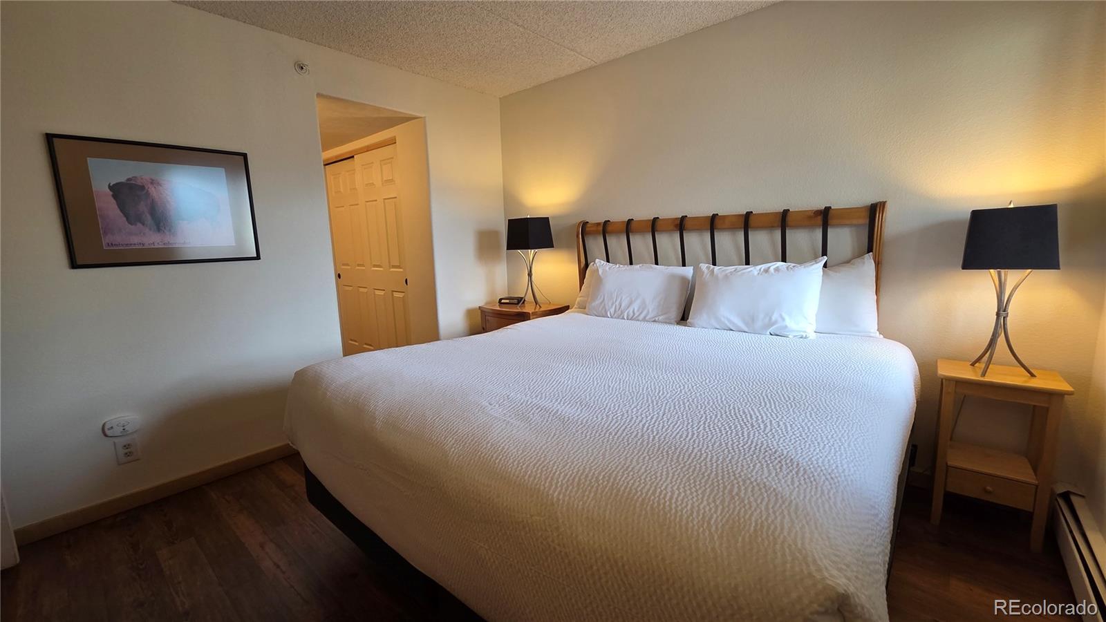 MLS Image #24 for 980  lakepoint drive,frisco, Colorado