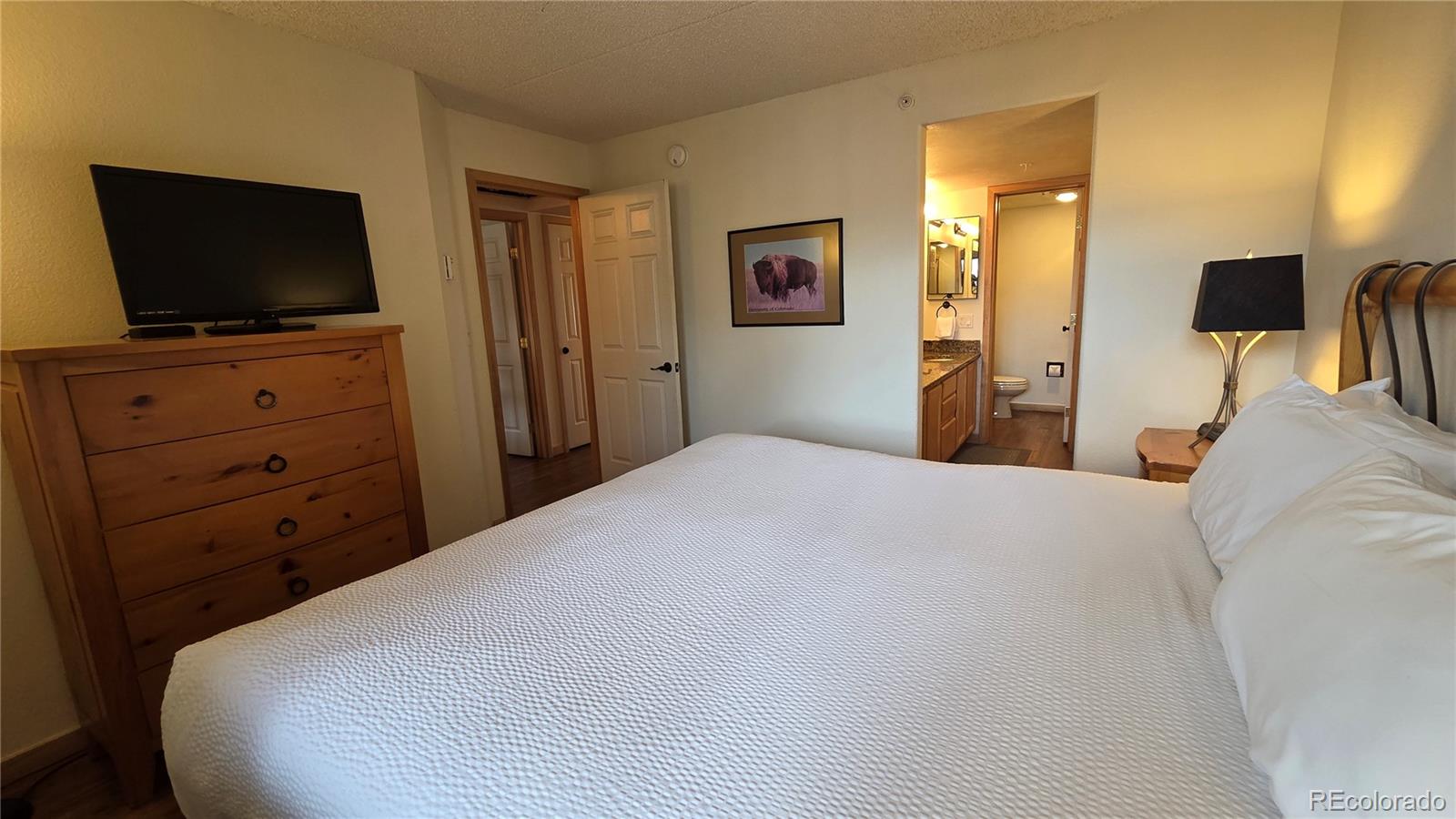 MLS Image #25 for 980  lakepoint drive,frisco, Colorado