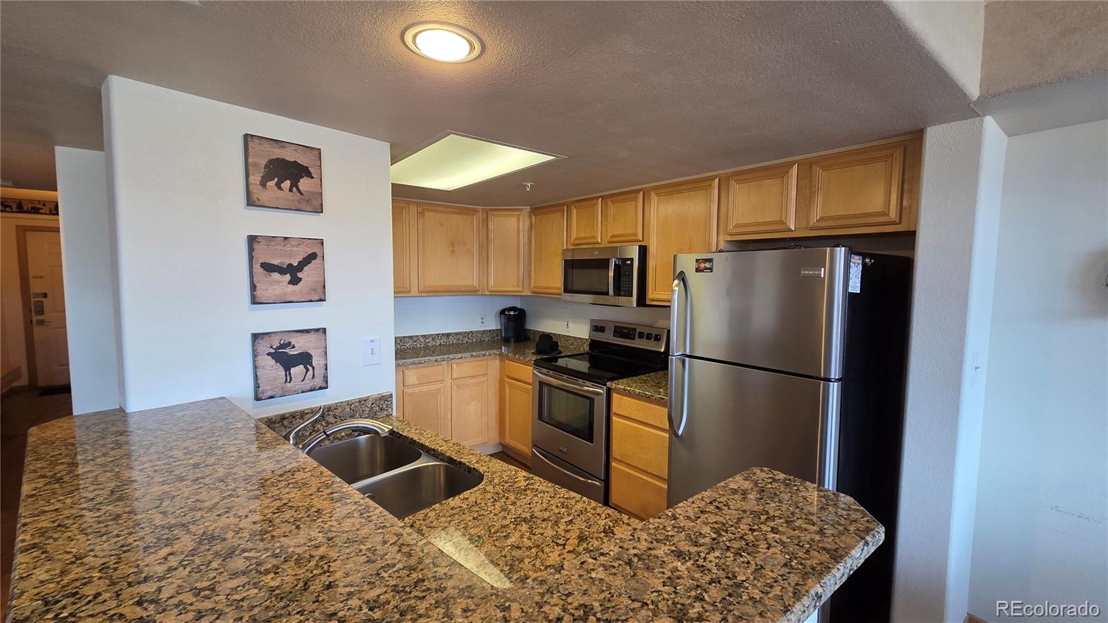 MLS Image #8 for 980  lakepoint drive,frisco, Colorado