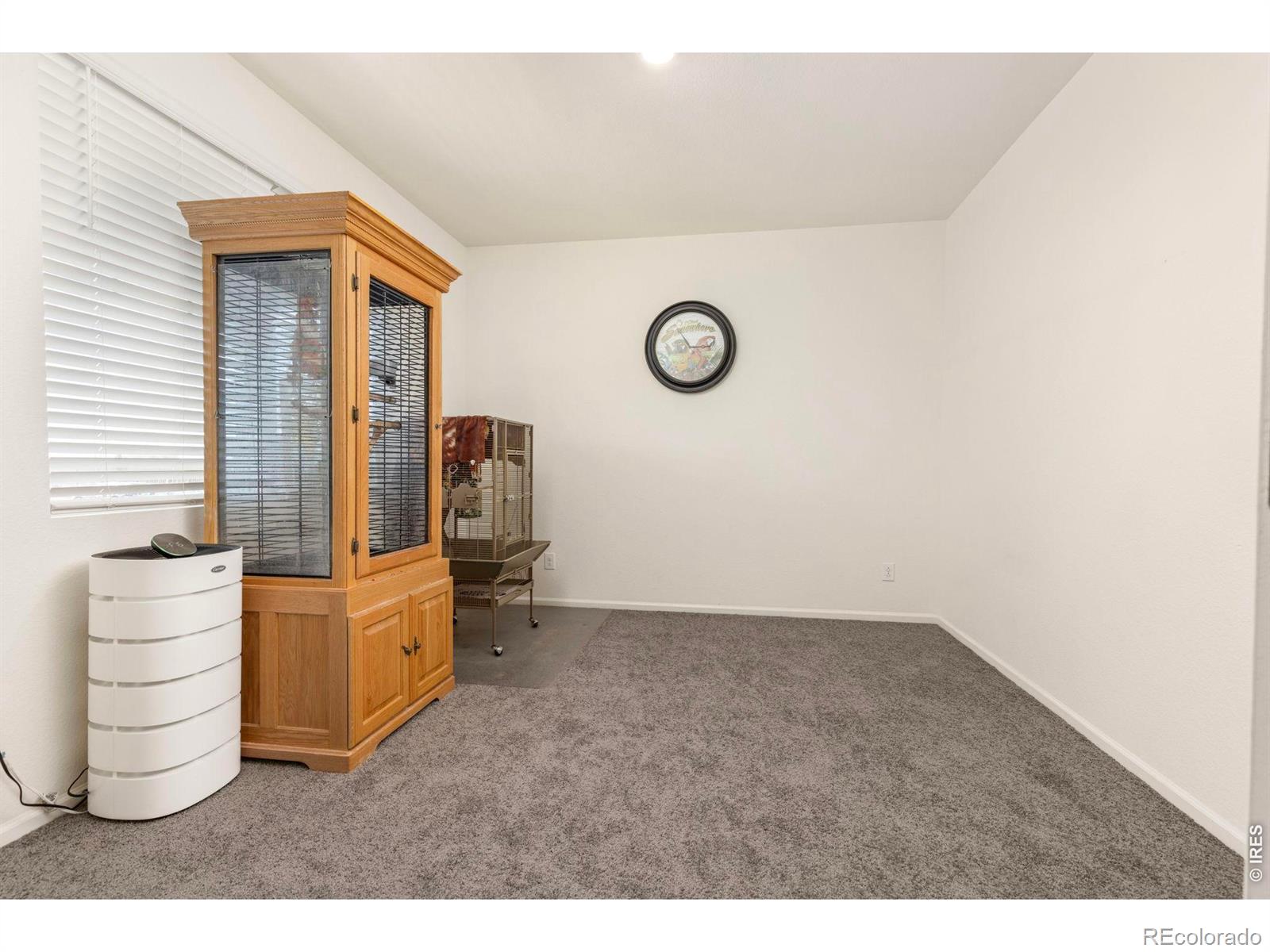 MLS Image #14 for 885  camberly drive,windsor, Colorado