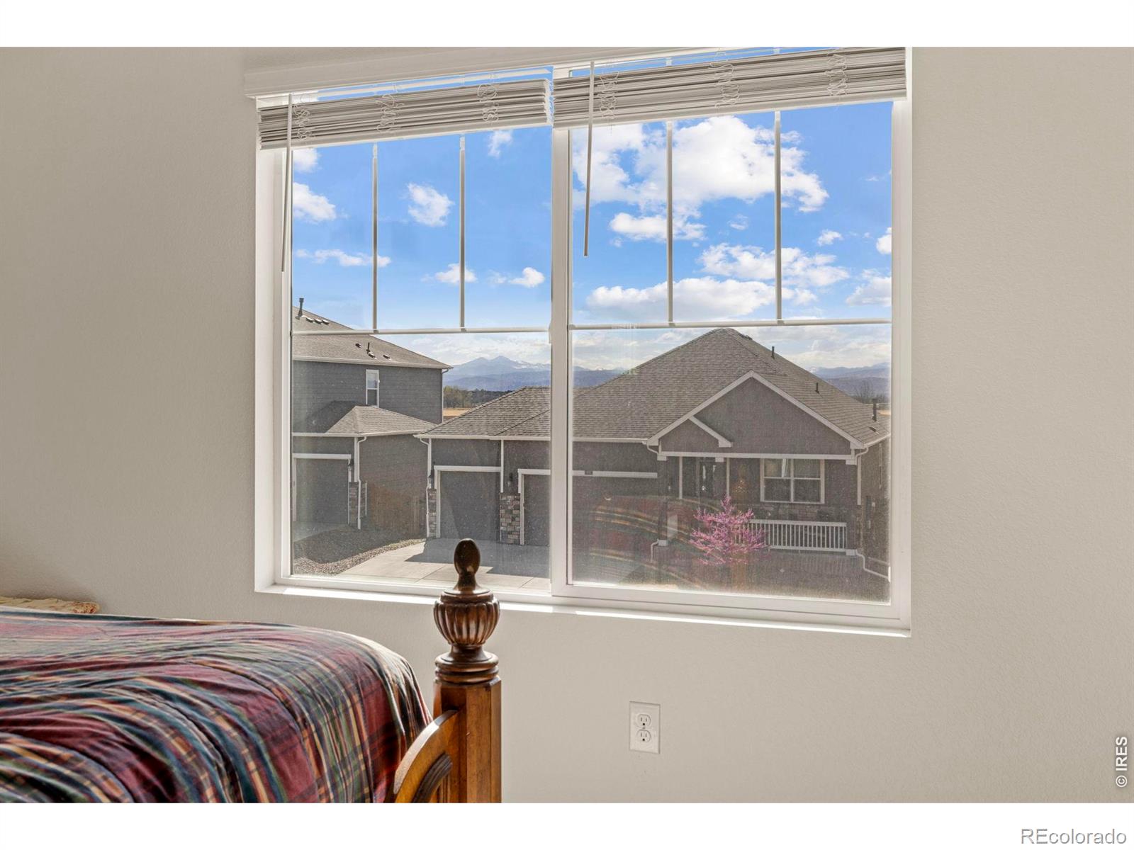 MLS Image #18 for 885  camberly drive,windsor, Colorado