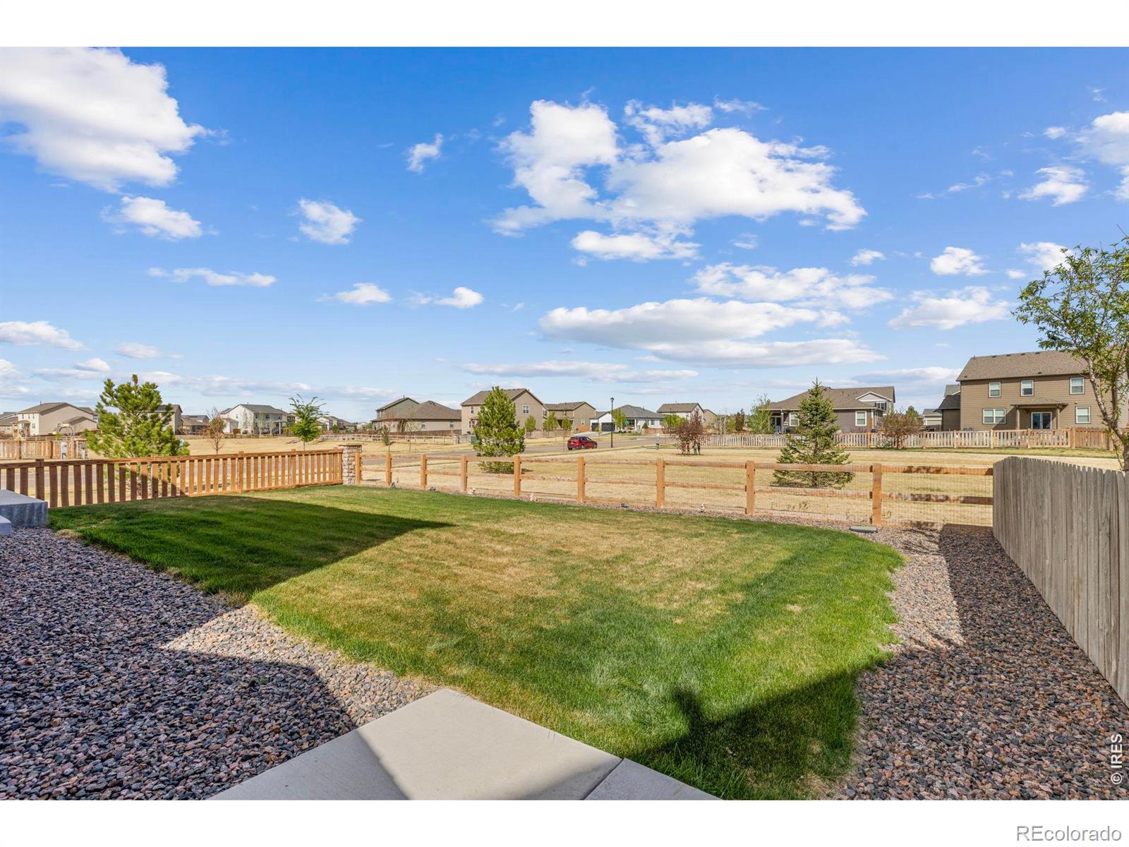 MLS Image #31 for 885  camberly drive,windsor, Colorado