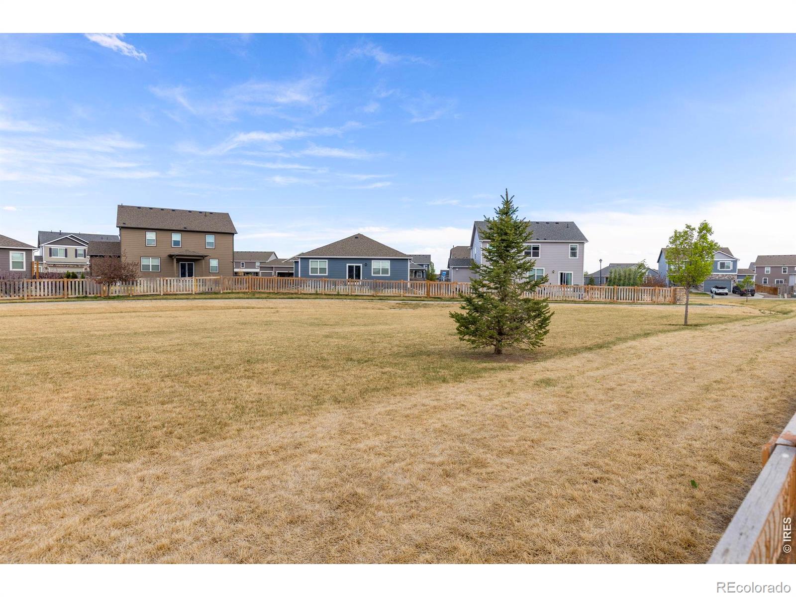 MLS Image #33 for 885  camberly drive,windsor, Colorado