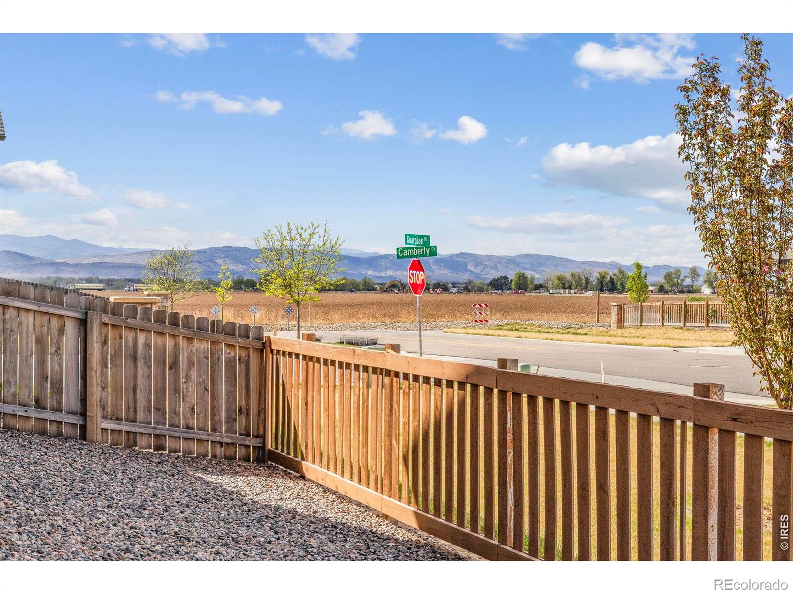 MLS Image #34 for 885  camberly drive,windsor, Colorado