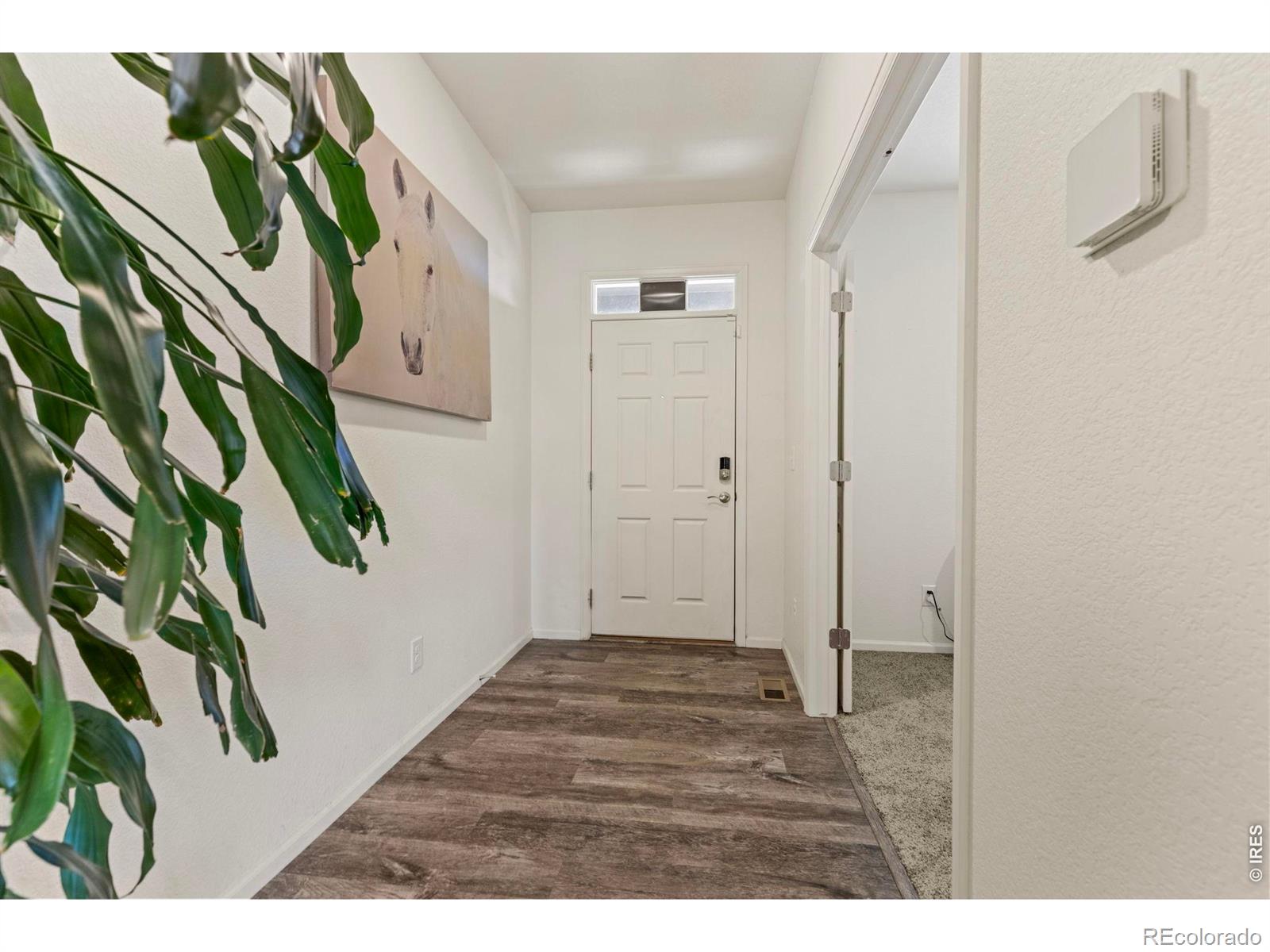 MLS Image #4 for 885  camberly drive,windsor, Colorado