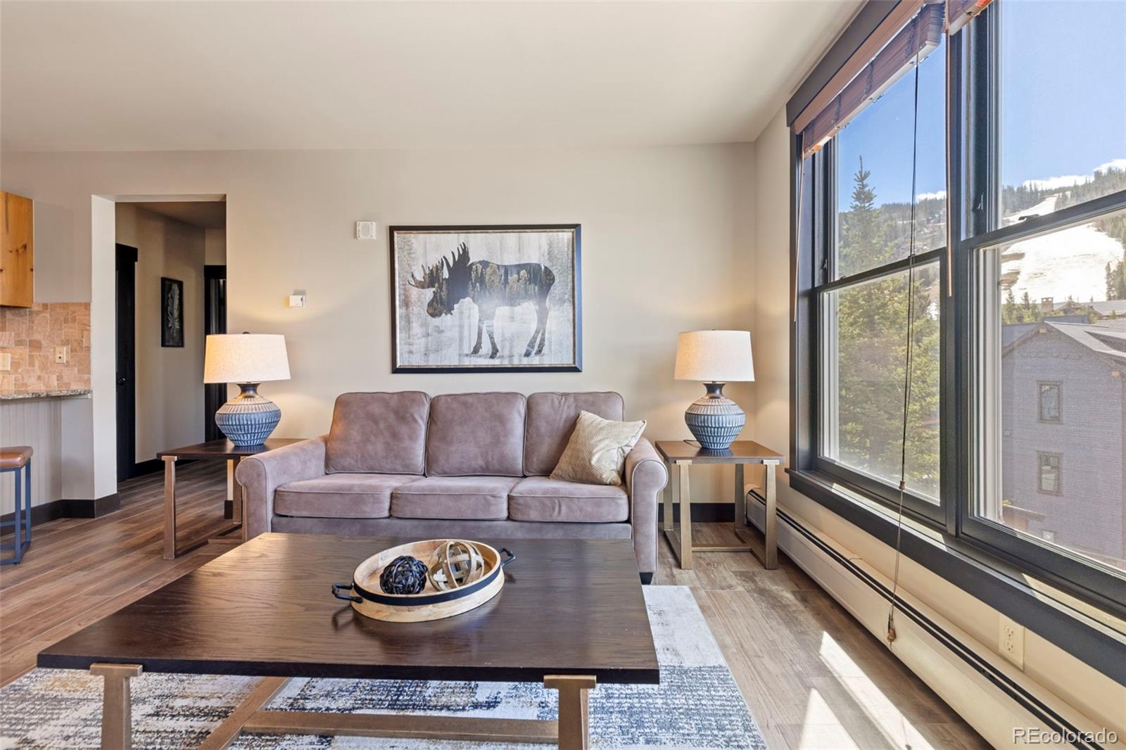 MLS Image #6 for 129  river run road 8053,keystone, Colorado
