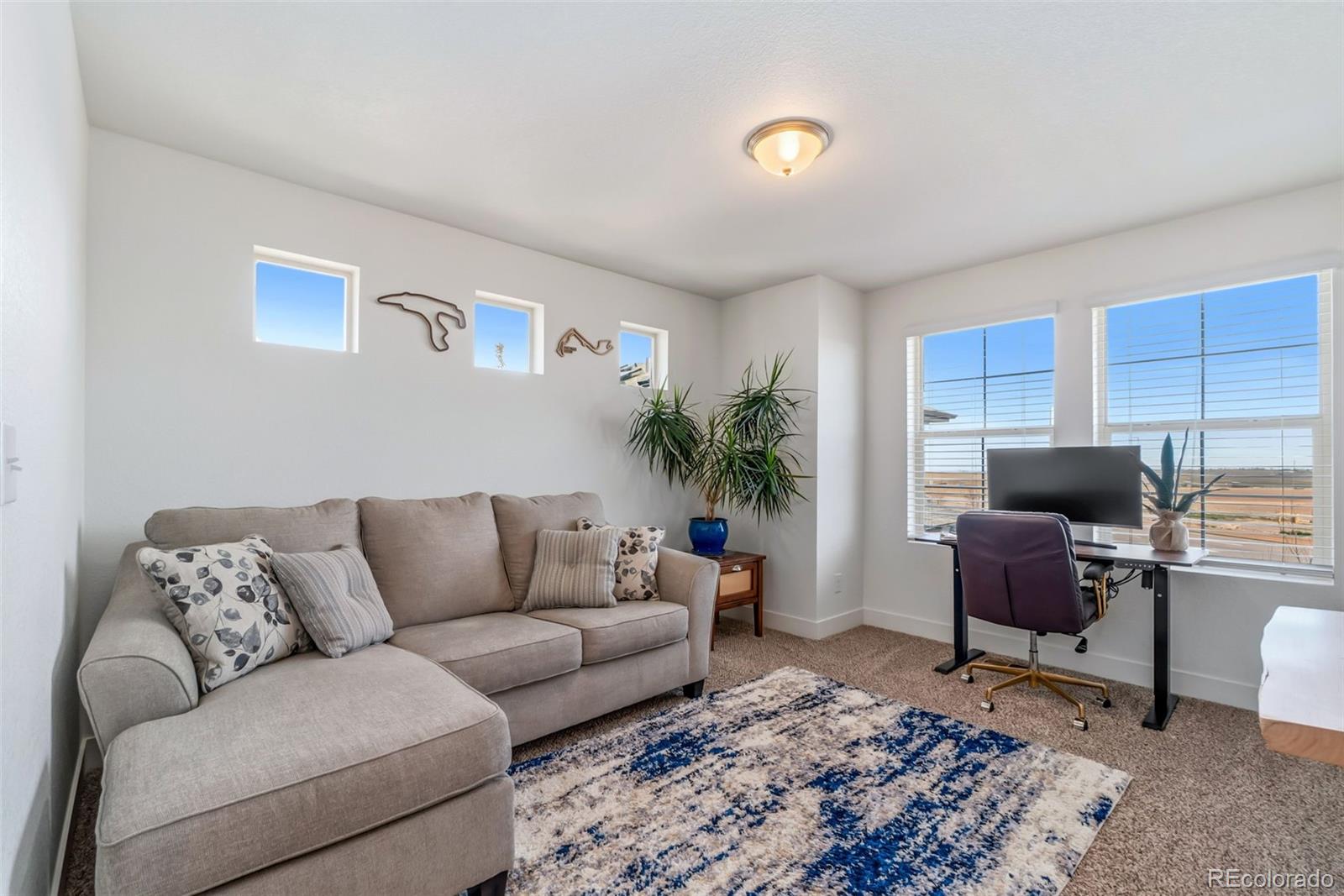 MLS Image #13 for 10206  zeno street,commerce city, Colorado