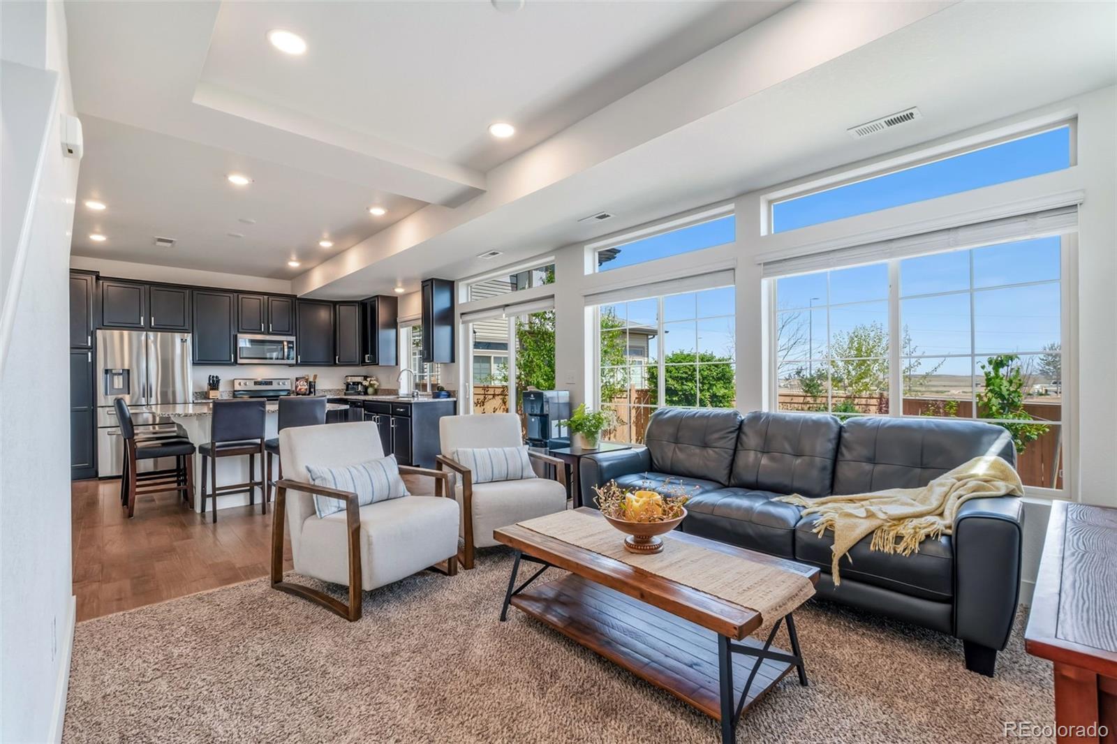 MLS Image #3 for 10206  zeno street,commerce city, Colorado