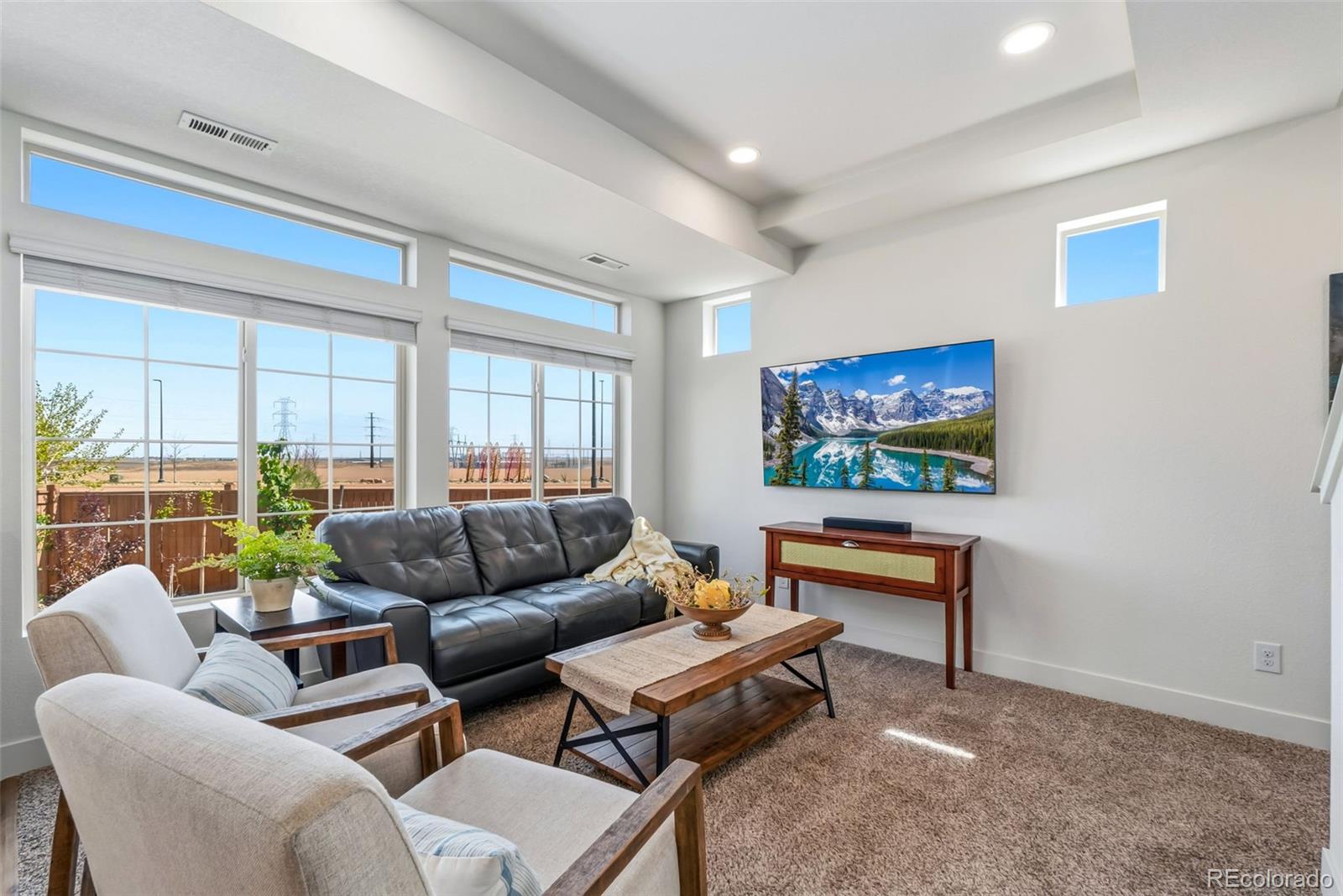 MLS Image #6 for 10206  zeno street,commerce city, Colorado