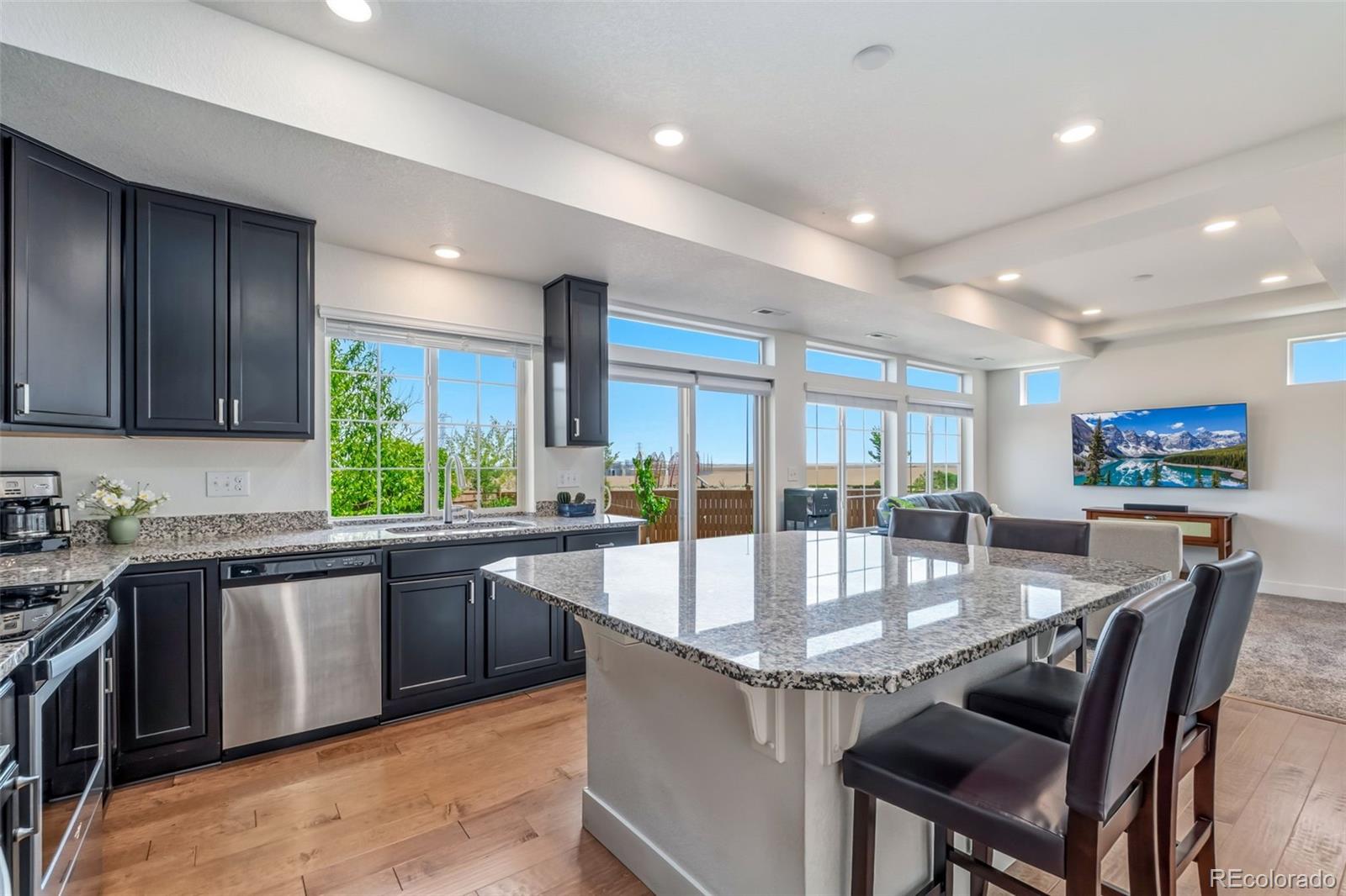 MLS Image #9 for 10206  zeno street,commerce city, Colorado