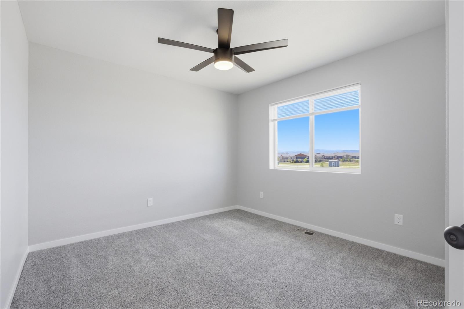 MLS Image #29 for 7263  horsechestnut street,wellington, Colorado