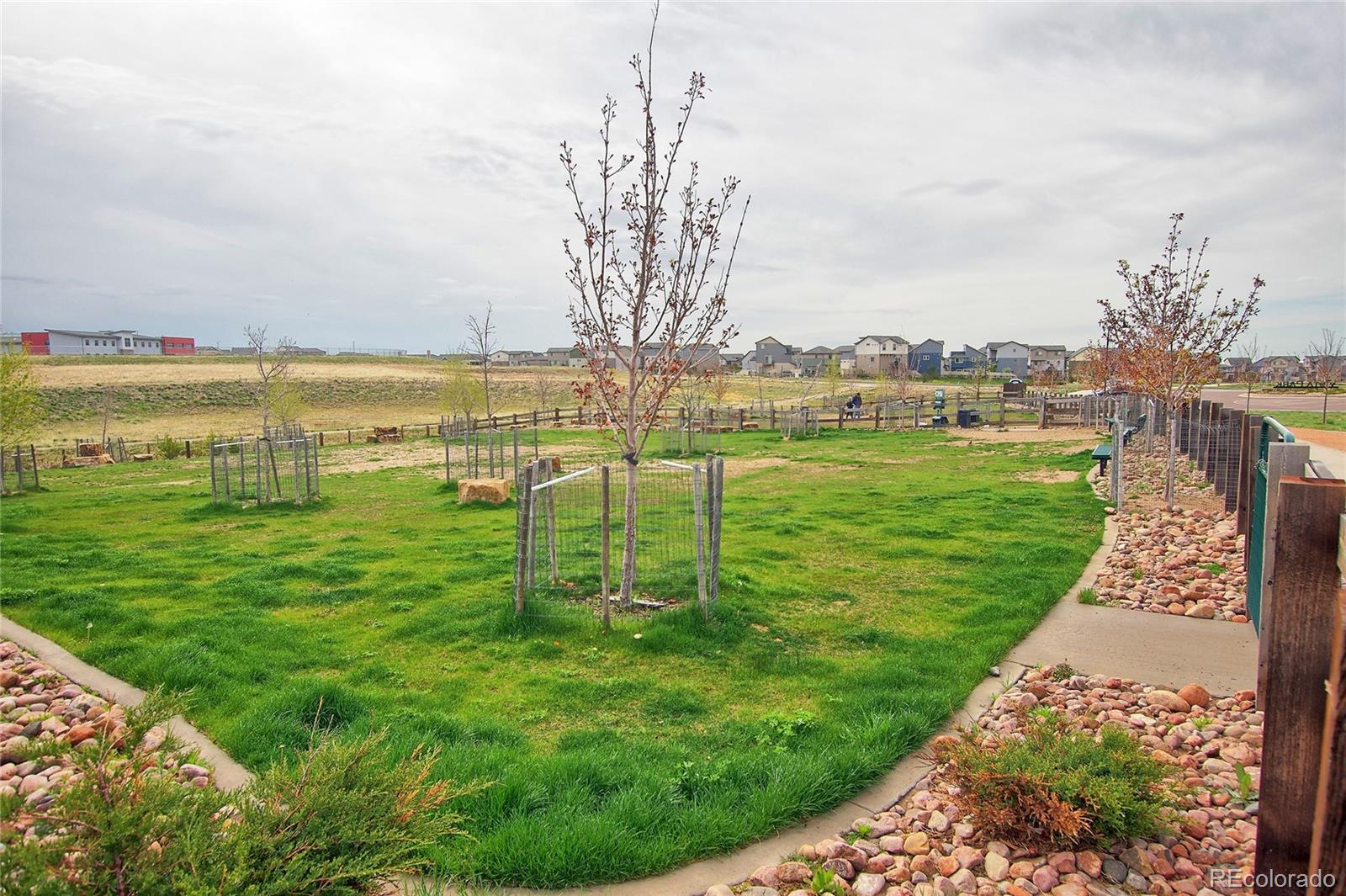 MLS Image #46 for 6286  kildare drive,colorado springs, Colorado