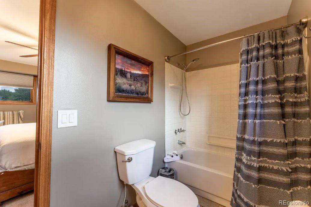 MLS Image #14 for 518  bighorn circle,silverthorne, Colorado