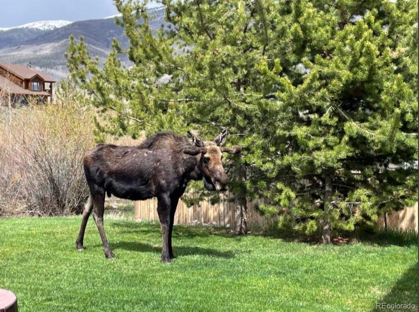 MLS Image #27 for 518  bighorn circle,silverthorne, Colorado