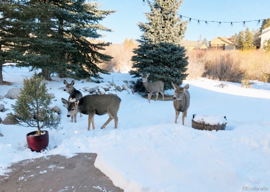 MLS Image #28 for 518  bighorn circle,silverthorne, Colorado
