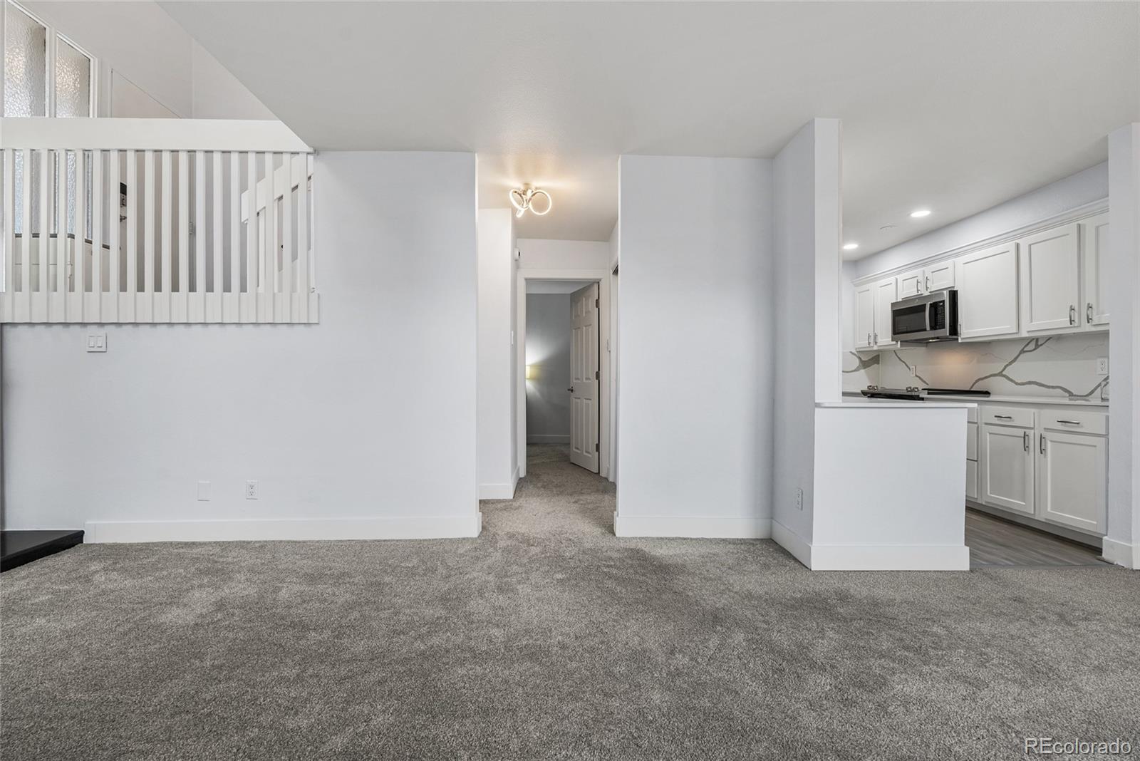 MLS Image #3 for 2835 s monaco parkway,denver, Colorado
