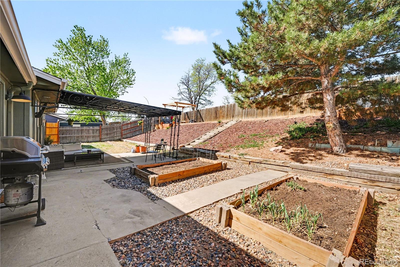 MLS Image #20 for 8207  high street,denver, Colorado