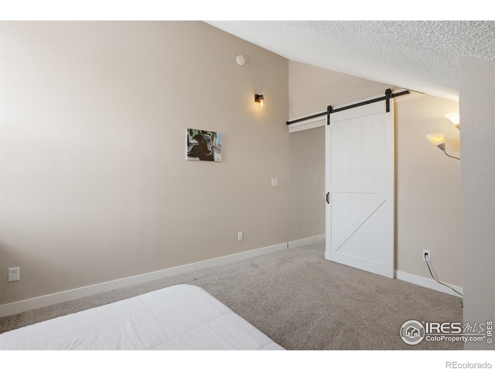 MLS Image #22 for 7436  singing hills court,boulder, Colorado