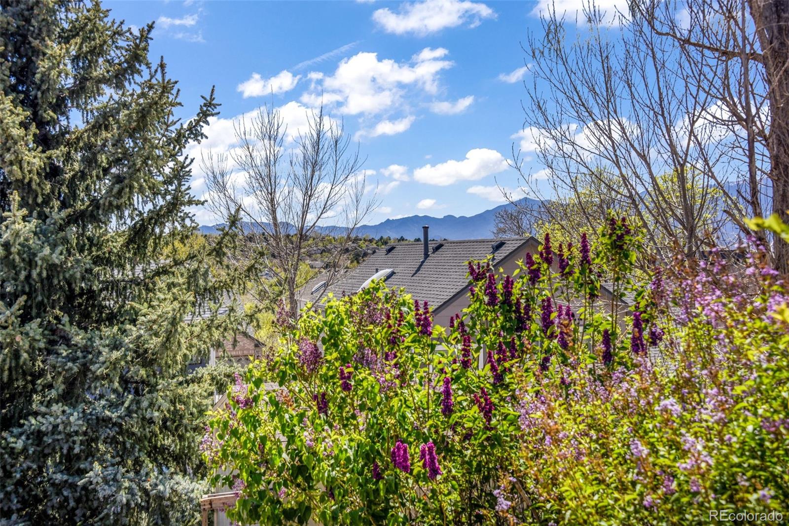 MLS Image #35 for 3545  sedgewood way,colorado springs, Colorado