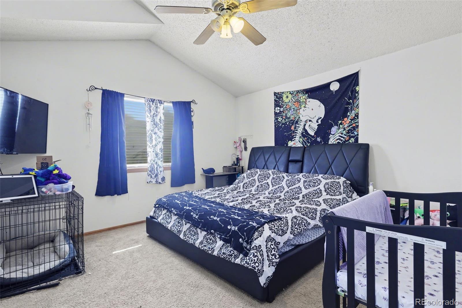 MLS Image #7 for 630  high tea court,fountain, Colorado