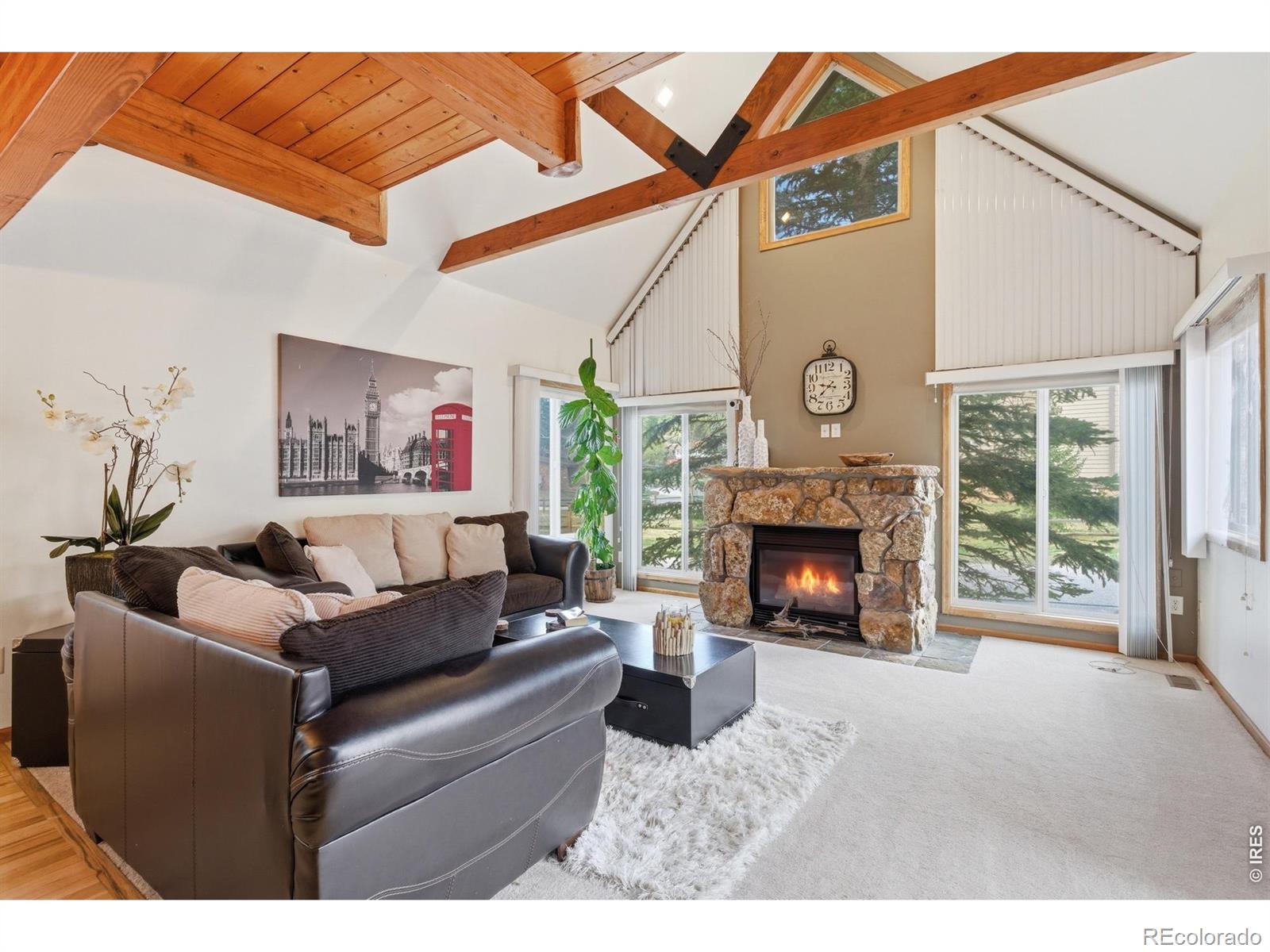 MLS Image #6 for 300  far view drive,estes park, Colorado